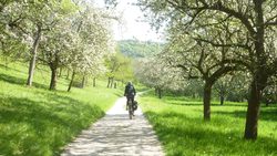 Radweg nach NagelstÃ¤dt Unstrut.JPG